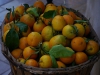 orangen im Korb