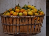 orangen im Korb