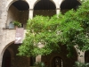 Orangen im Barri Gotic in Barcelona