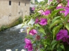 Bougainvillea und Kartoffelwein im Städtchen Portogruao