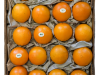 Bio Orangen von Biodirekt - gibt\'s im Shop