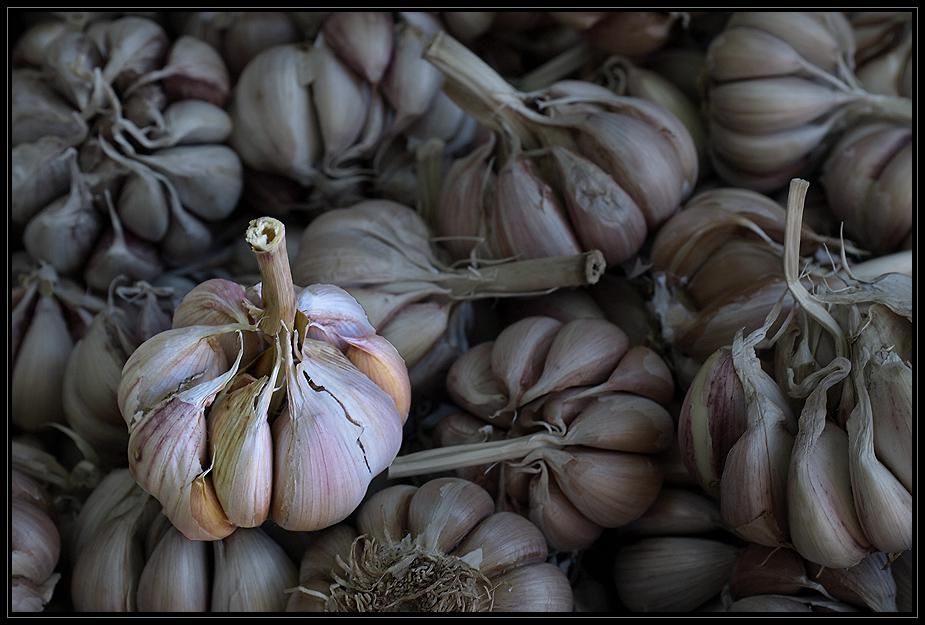 Mediterranes Gemüse lässt Sie die Sonne schmecken